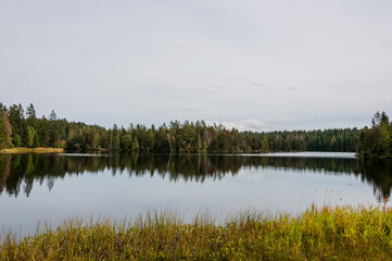 étang de la gruère, la gruère, See, Moorsee, Moor, Weiher, Hochmoor, Wanderweg, Spiegelung, Wald, Waldweg, Wasserpflanzen, Torfmoos, Jura, Naturschutz, Sommer, Herbst, Herbstfarben, Schweiz