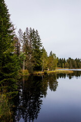 Obraz premium étang de la gruère, la gruère, See, Moorsee, Moor, Weiher, Hochmoor, Wanderweg, Spiegelung, Wald, Waldweg, Wasserpflanzen, Torfmoos, Jura, Naturschutz, Sommer, Herbst, Herbstfarben, Schweiz