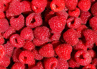 Red raspberry berries close up, vitamins