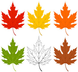 Fototapeta premium Vector illustration of a maple leaf in six colors: red, yellow, orange, green, black and white, and brown.