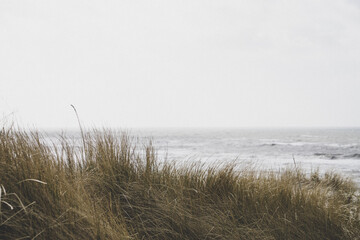 View over the dunes to the North Sea