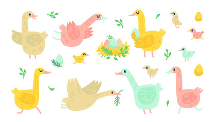 Vector doodle geese. Illustration with farm birds