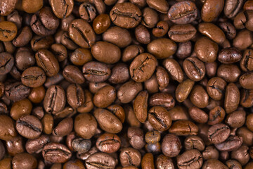 coffee beans background