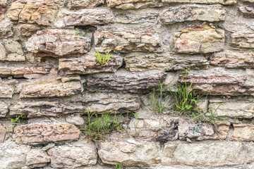 stone wall with moss