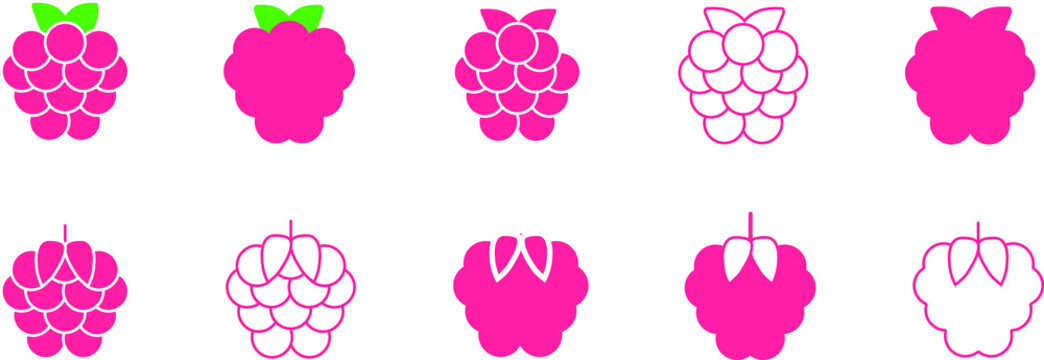 Raspberry icons malina lines vector