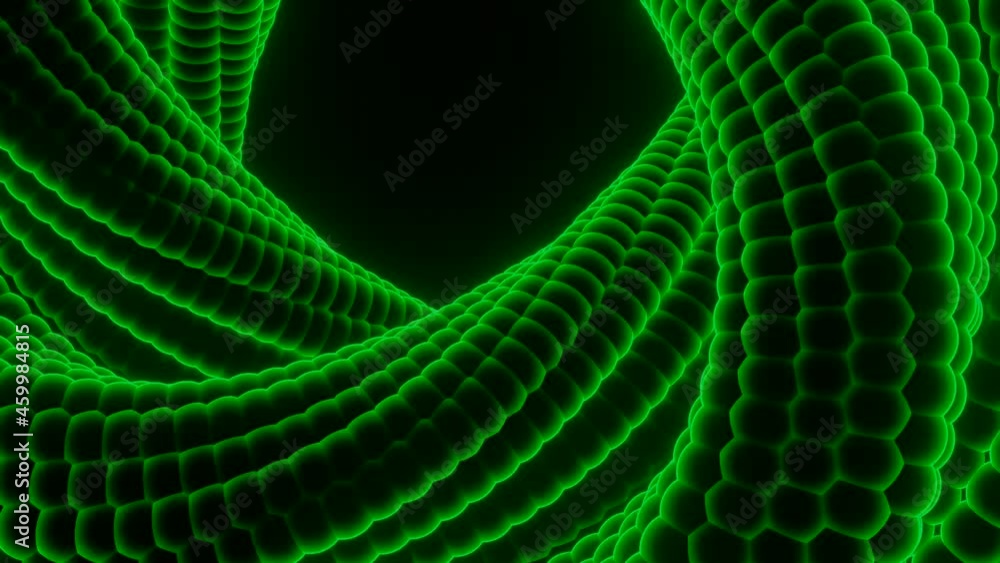 Poster animation with swirling loop on black background. design. 3d twisting loop with snake texture. rotat