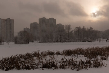 Fototapeta premium Wilted plants and a frozen reservoir against a moscow cityscape in winter evening