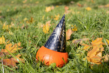 Bright orange pumpkin in a black paper cap. In the grass among the fallen leaves. Autumn series, halloween time.