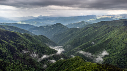 Primeval forest of Fagaras mountains national park in Romania
