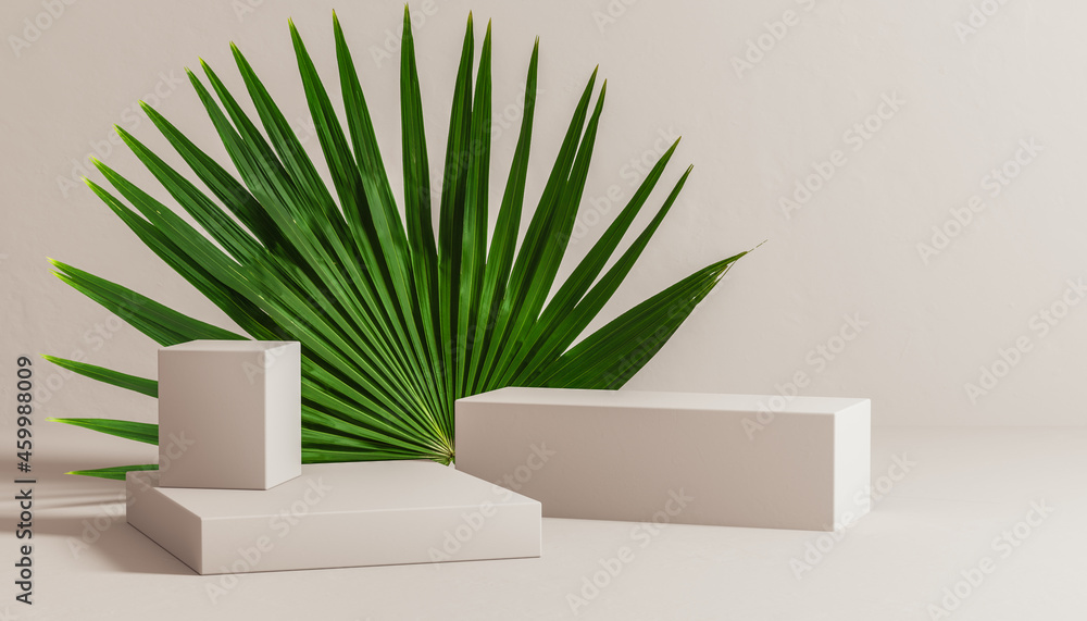 Poster windmill palm leaf and podium for product presentation background 3d rendering. tropical leaf and cy