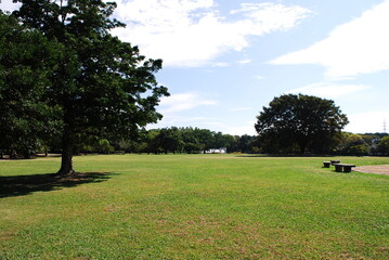公園