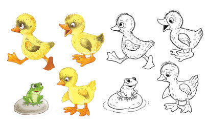 Cute farm animals. Cute ducklings. Coloring page. Coloring book. Cute and funny cartoon characters isolated on white background