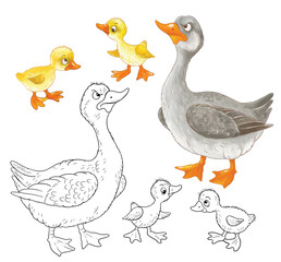 Cute farm animals. Coloring page. Coloring book. Cute and funny cartoon characters isolated on white background