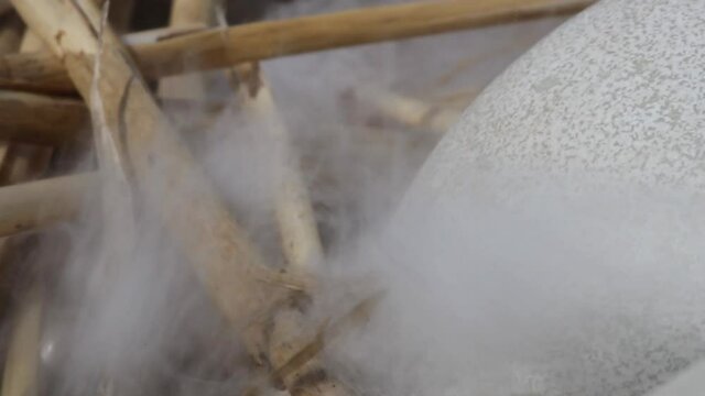 Famous Swan's down from North Europe Mute Swan nest. huge swan's egg (part). Macrostructure