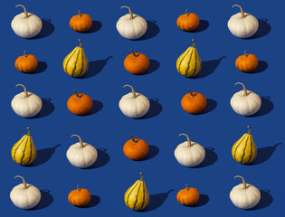 Autumn colorful pumpkins on blue background. Halloween pattern