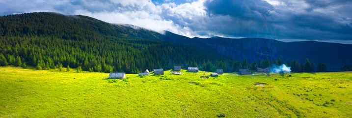 Polonyna Tatul in the Carpathians - pasture of sheep and cows