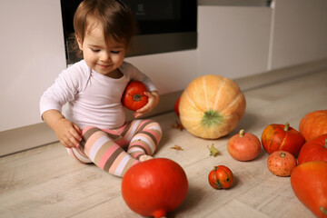 Fototapeta premium little cheerful girl indoor holds pumpkins