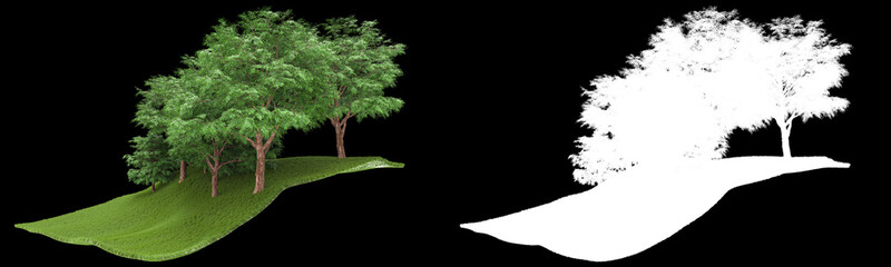 Fototapeta na wymiar Forest isolated on background with mask. 3d rendering - illustration