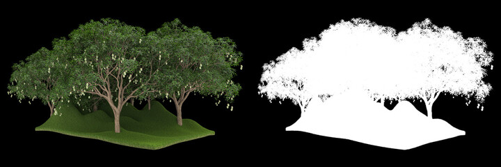 Forest isolated on background with mask. 3d rendering - illustration