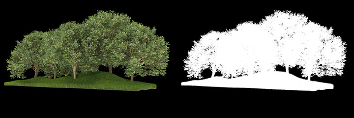 Forest isolated on background with mask. 3d rendering - illustration
