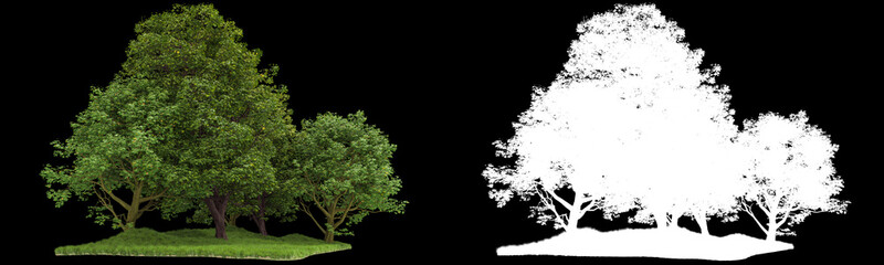 Forest isolated on background with mask. 3d rendering - illustration