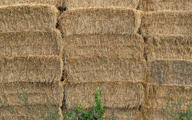 Oblong blocks of straw stacked up