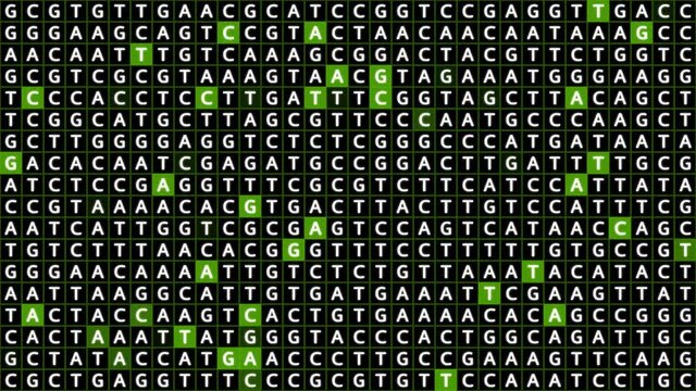 Loopable: Genetic mapping DNA sequence analysis abstract background with letters A,G,C,T in grid with green squares. Big genomic data analysis concept.
