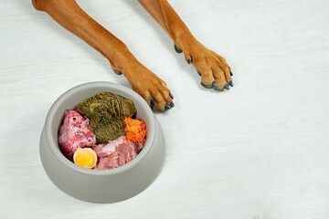 Natural dog food in bowl and dog paws on white background. Fresh raw meat, tripe, egg and carrot.