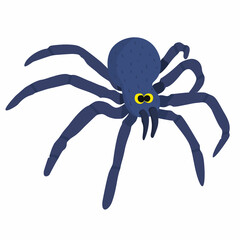 Vector illustration Halloween spider. Hand draw cute blue spider isolated on white background. Element for Halloween design. Stylized fantastic steam-pank spider