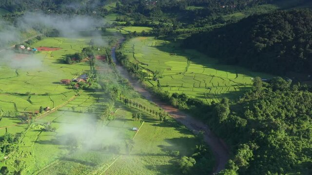 In a beautiful valley, an aerial view of a large rice field. Agricultural areas in Thailand's north