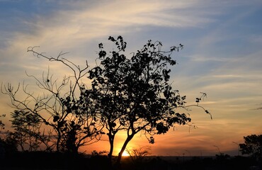 pôr-do-sol no Cerrado