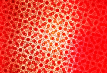Obraz premium Light Red vector template with circles.
