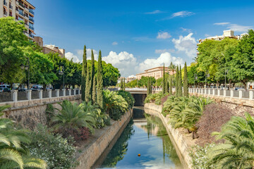 Parc de Sa Riera of Palma de Mallorca 8029