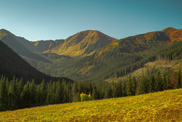 Obraz premium landscape