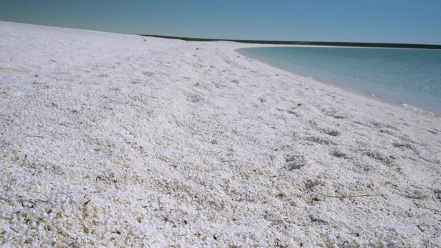 slow motion gimbal stabilized clip walking along shell beach at shark bay in western australia- recorded with shallow depth of field