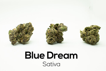 Blue Dream individual nugs on white background for e-commerce, marketing materials and listings.
