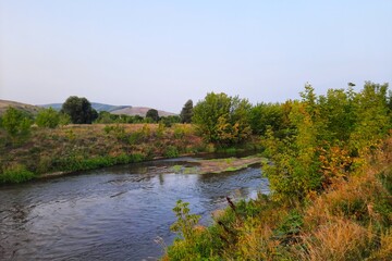 Steppe river against the background of a beautiful blue sky and green vegetation
