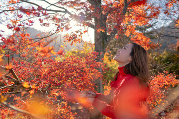秋の紅葉を散歩　観察する女性