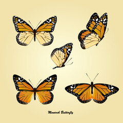 Obraz na płótnie Canvas set of monarch butterflies