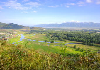 Obraz premium Uymon valley in the Altai Mountains