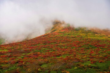 紅葉の栗駒山