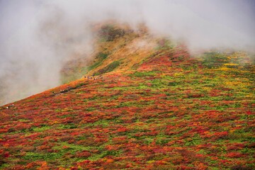 紅葉の栗駒山