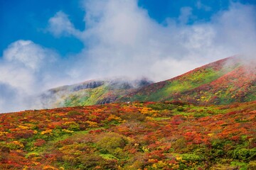紅葉の栗駒山