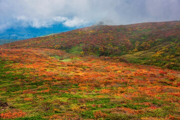 紅葉の栗駒山