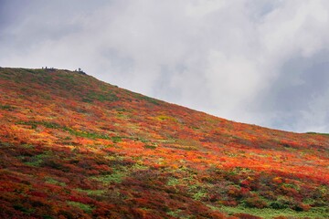 紅葉の栗駒山