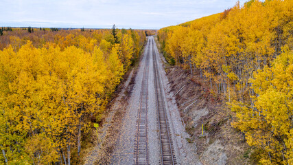 Naklejka na ściany i meble An Aerial View of a Train Track Submerged by Beautiful Fall Colors near Tanana, Alaska 