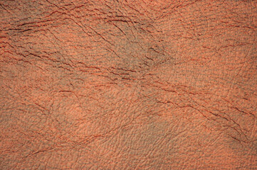 Natural leather of a dark brown color with wrinkles and traces of quality workmanship.