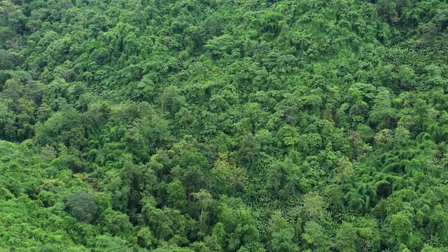 During the rainy season in northern Thailand, an aerial view of the forest amid the beautiful rain covering the tropical rainforest mountains. Thailand's rich forests, which are located in the wet tro