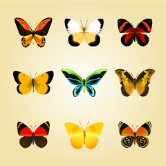 set of butterflies