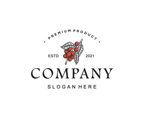 Coffe bean logo template
